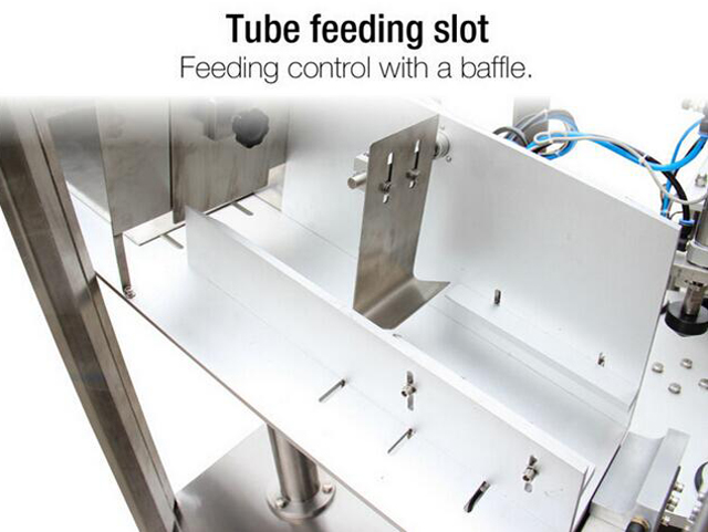 لقطة التغذية.jpg